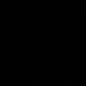 Meet your Posher, Bader